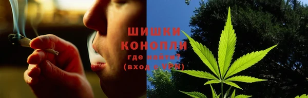 spice Покачи