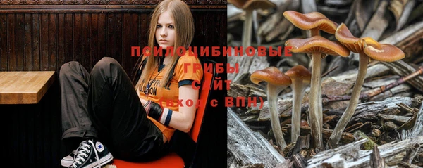 ALPHA PVP Алзамай