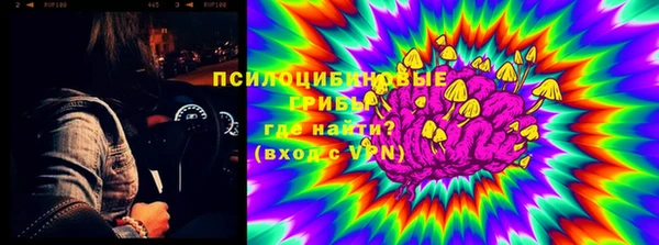 сатива Алексин