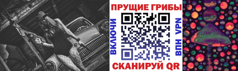 ссылка на мегу как войти  Лодейное Поле  Псилоцибиновые грибы прущие грибы 